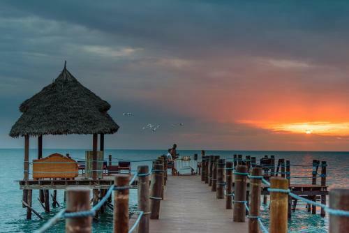 Hotel Zanzi Resort