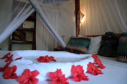 Hotel Samaki Lodge & Spa