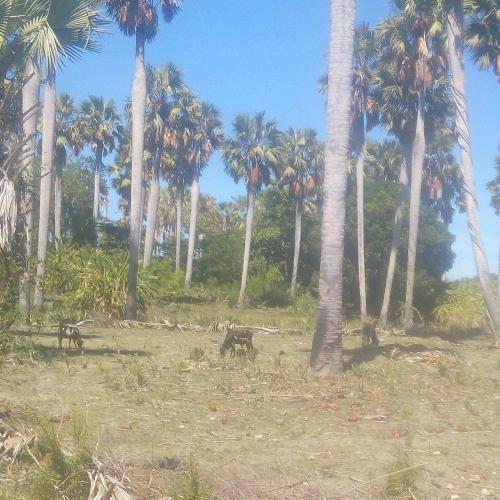 Apartamento Hill View Inn