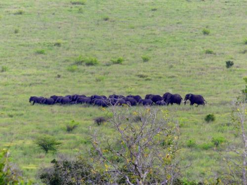 Lodge Kisampa Bush Retreat