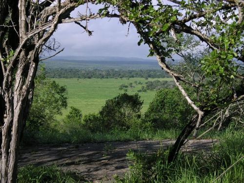 Lodge Kisampa Bush Retreat