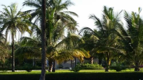 Villa Zenitude