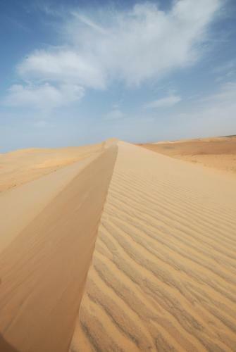 Camp Du D�sert ? Esprit D?afrique