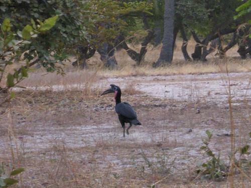 Bed & Breakfast Maman Nature