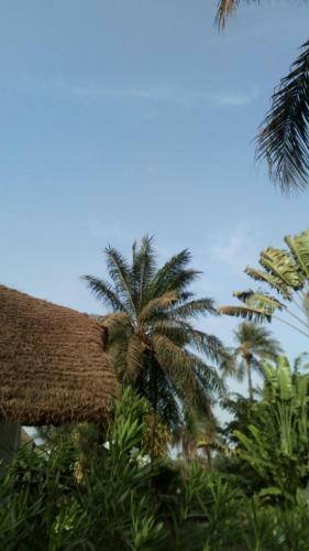 Les Maisons De Marco Senegal