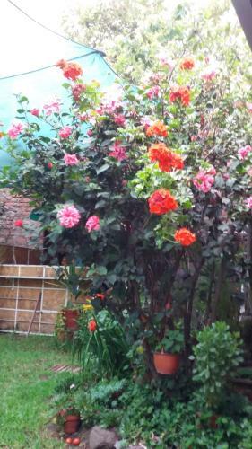Hostal Samadri Hospedaje