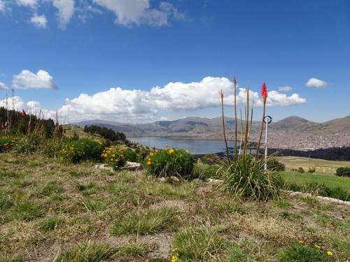 Mirador Del Titikaka