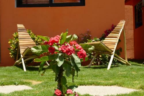 Terra Lodge S�n�gal