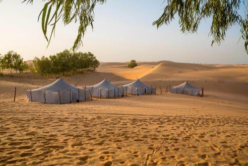 Hotel Ecolodge De Lompoul