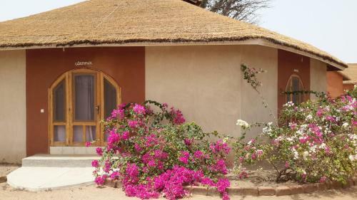 Baobab Lodge