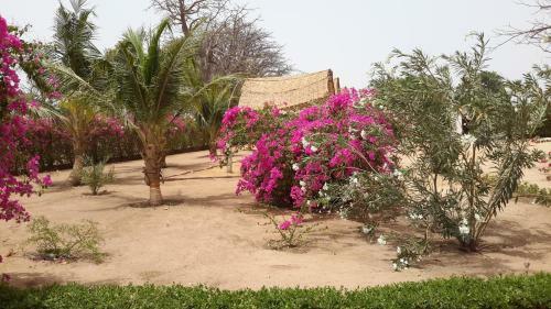 Baobab Lodge