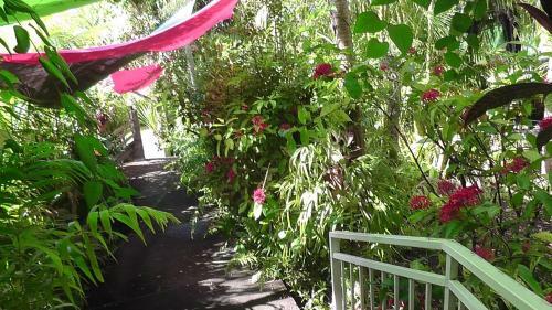 Bed & Breakfast Pinpin D'amour