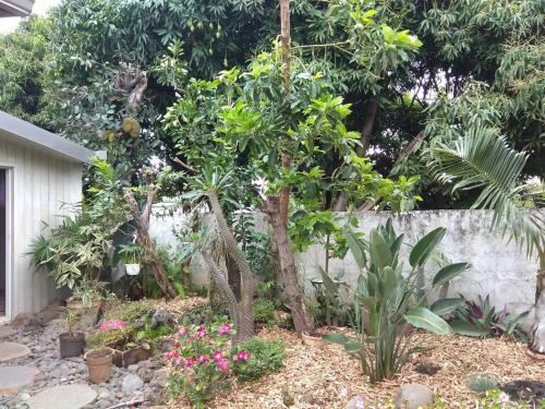 Villa Exotic Eden