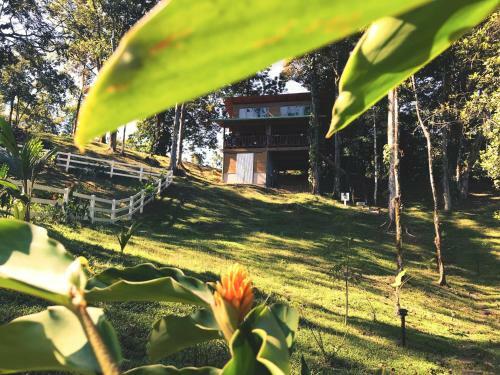 Gracias Madre: A Jungle Cabin With Ocean Views