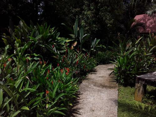 Bed & Breakfast Villa Sevilla