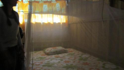 Hostal Lodge Jungle Wolf Expeditions