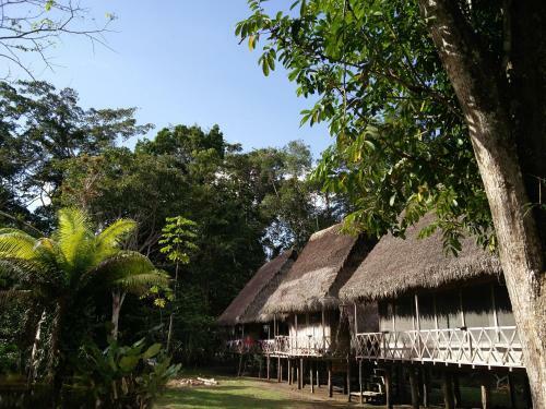 Hostal Lodge Jungle Wolf Expeditions