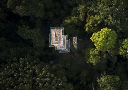 Hostal Posada Amazonas Lodge