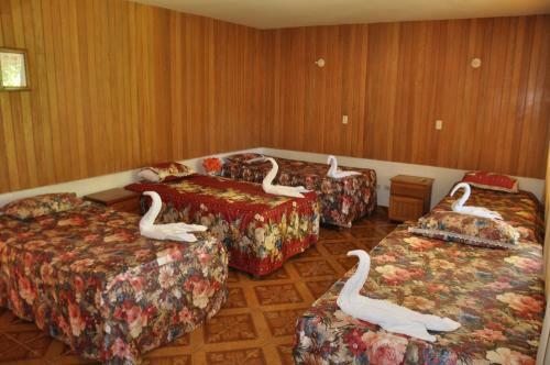 Apartamento La Maloka Ecolodge