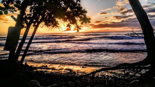 Surf Break At Paunch