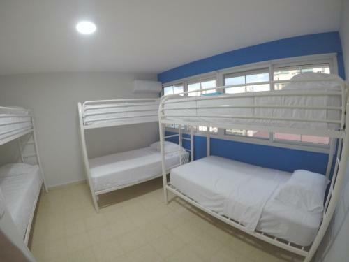 Blu Hostel
