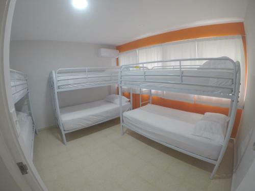Blu Hostel