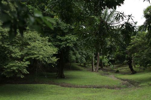 Hostal Hostel Guayacan
