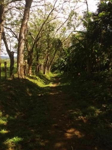 Albergue Hostal Los Laureles