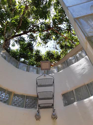 Lodge Nativo