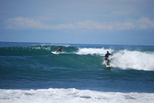 El Nido Del Tuc�n