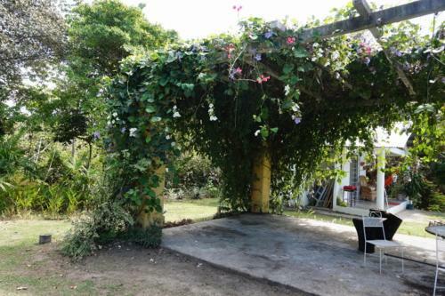 Cabanas Las Mandarinas