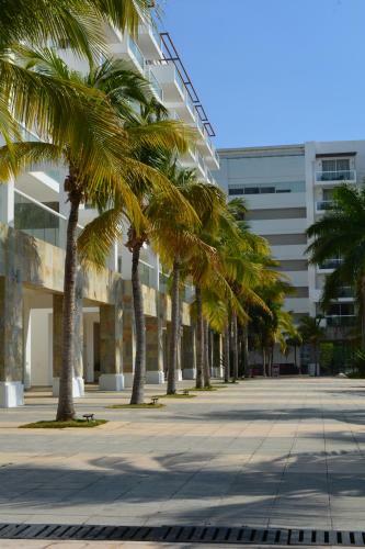 Apartamento Coral 4b