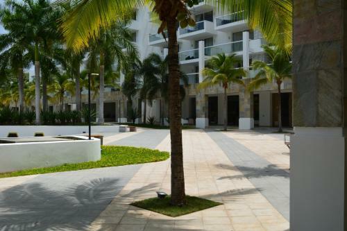 Apartamento 515