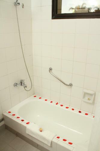 Asteri�n Hotel - Turismo Y Negocios