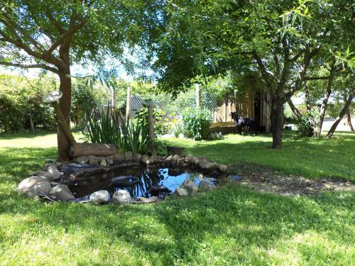 Hostal Caba�as San Valentin