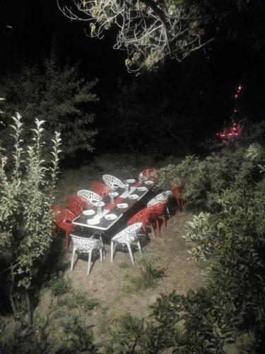Lodge Grapes Garden