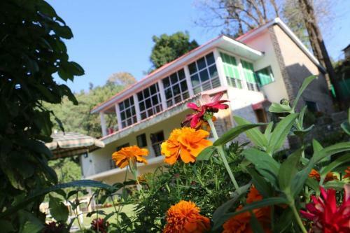 Hotel H.a.h Lodges