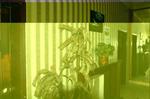 Hostal Travis Luxury Guest House