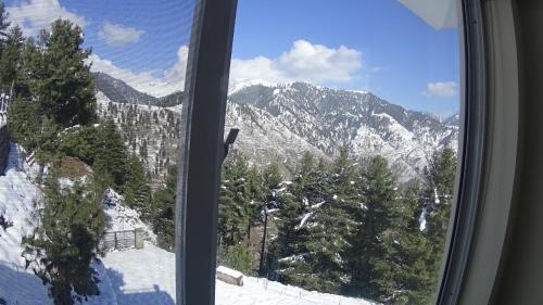 Hotel Chinar Resorts