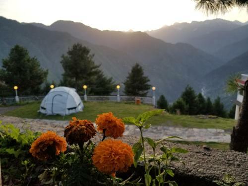 Hotel Chinar Resorts