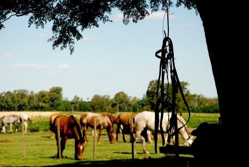 Hostal Estancia La Esperanza