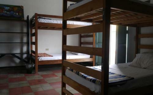 Luna International Hostel