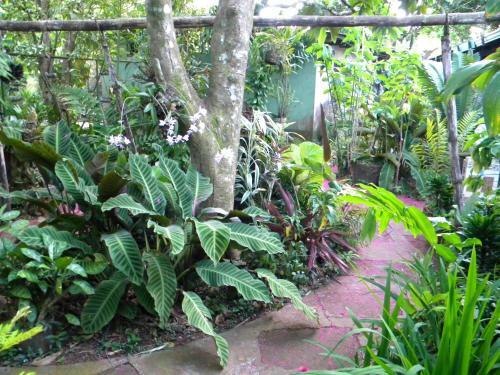 Hotel Eco Posada Tortuga Verde