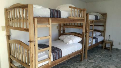 Hotel Island Roots Hostel