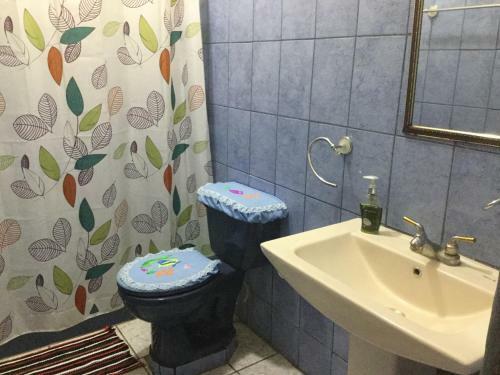 Hotel Apastepe