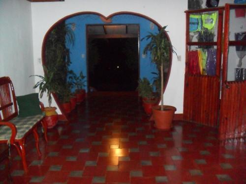 Hotel Lupita