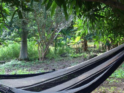 Bed & Breakfast Casa Del Bosque