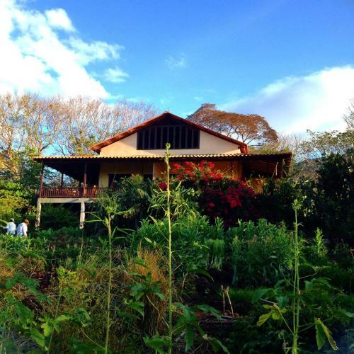 Bed & Breakfast Casa Del Bosque