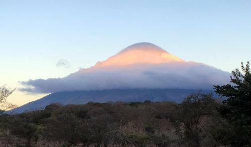 Bed & Breakfast Casa Del Bosque