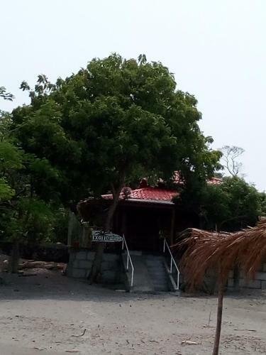 Bed & Breakfast Exotic Island